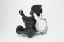 WHILL Model AK (�Ύ܎���)