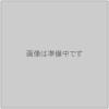 �ˎގ���1�ӎ������ؾ厹��(����)PZB-B1R/M