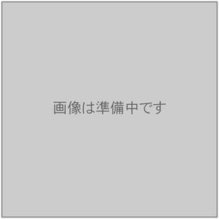 �ˎގ���1�ӎ������ؾ厹��(����)PZB-B1R/M